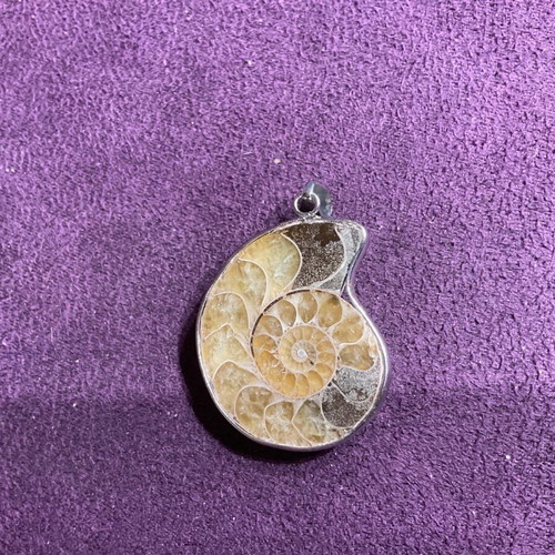 Ammonite pendant new