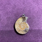 Ammonite pendant new