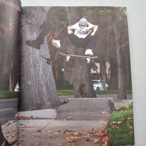 Side Walk Skateboard Magazine #197 February 2013 used