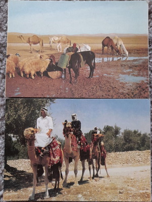 Postcards used, Judean Desert and Travellers on Camels, set of 2