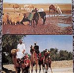  2 καρτ ποστάλ Έρημος της Ιoυδαίας και Καμηλιέριδες - Ισραήλ