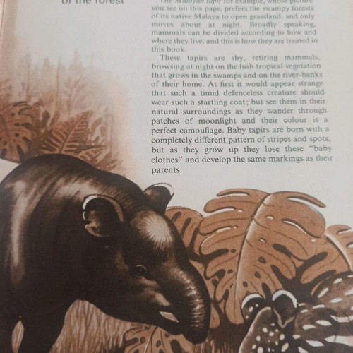 Book Mammals Strange & Exotic like new, 1965 English edition