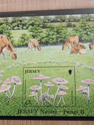 Φεγιέ Μεγάλης Βρετανίας 2005 Jersey φύση μανιτάρια αγελάδες καινούργιο