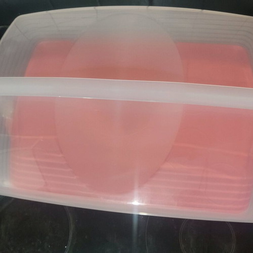 Tupperware large cake server new with orange tray and transparent lid