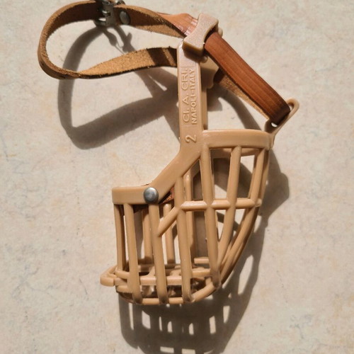 Dog accessory set like new, 5 pieces for small breed