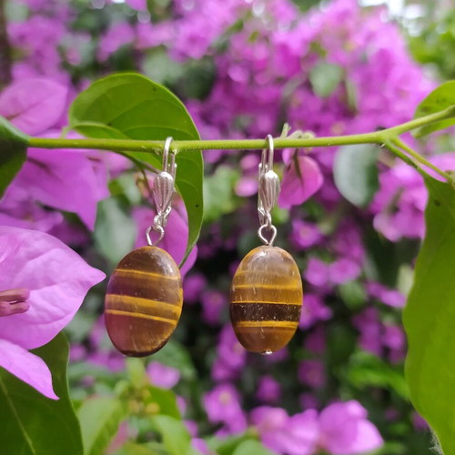 Earrings with tiger eye stones like new