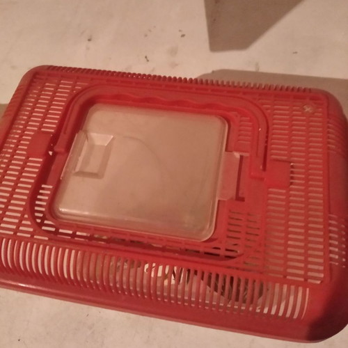 Aquarium used suitcase with one plant