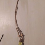Macrame necklace used with stone