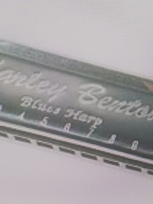 Blues Harmonica in A Major Harley Benton new