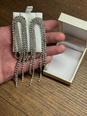 Princess stainless silver earrings with impressive design new