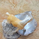 Decorative shell used with ceramic horse