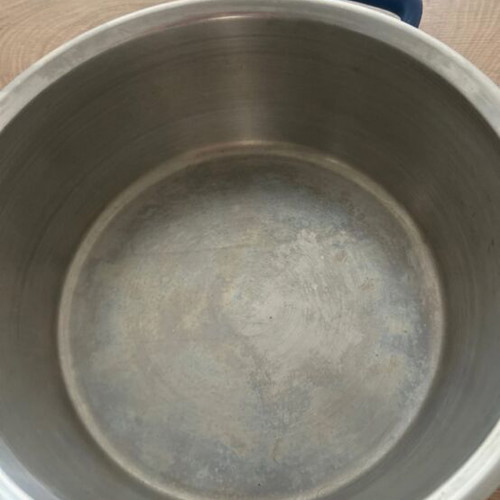 Fissler pot