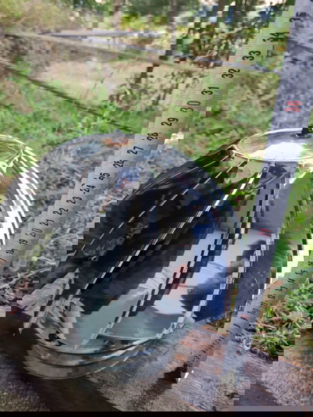 Καπέλο περιστροφικό Ø150 mm ανοξείδωτος χάλυβας