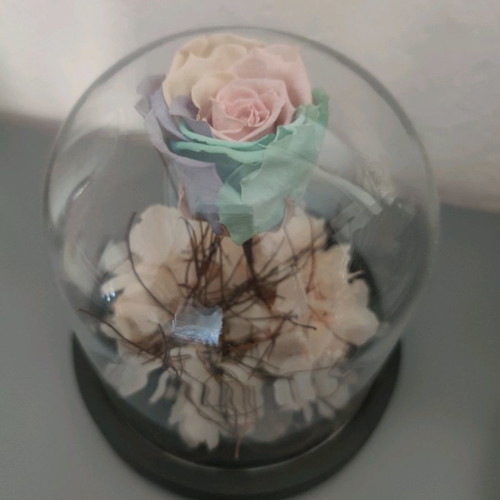 Forever rose decorative flower in excellent condition