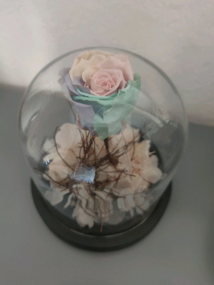 Forever rose декоративно цвете в отлично състояние