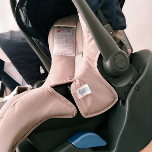Inglesina Trilogy stroller set used with car seat and accessories