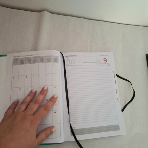 Daily diaries pack of 3 with hardcover like new