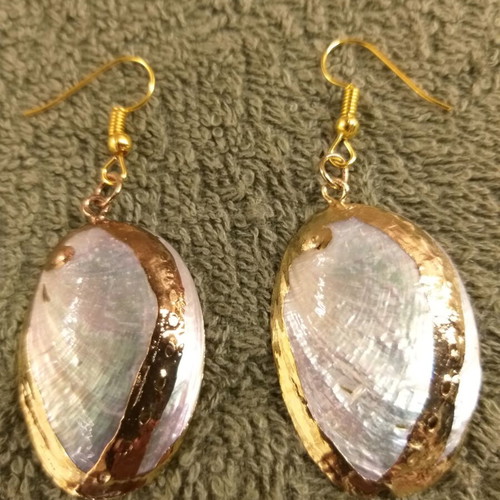 Abalone shell earrings