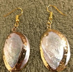 Abalone shell earrings
