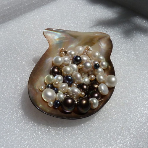 Silver 925 stud earrings with cultured freshwater pearls 8mm, new