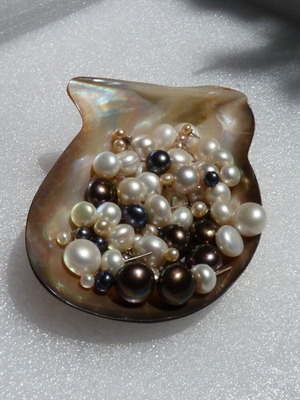 Silver 925 stud earrings with cultured freshwater pearls 8mm, new