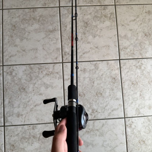 Saurus 702 spinning fishing rod with Doman reel