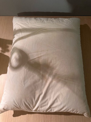 Ralph Lauren pillow used, 100% cotton, natural filling