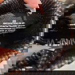  Μποτάκια nine west 35