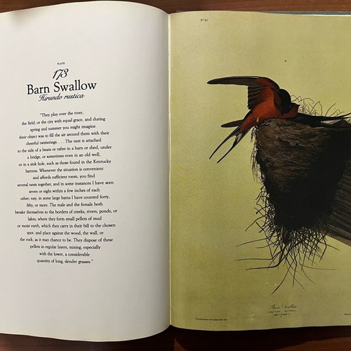 The Living World of Audubon book used, English