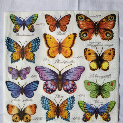 Napkins collection set of 5 with butterflies new