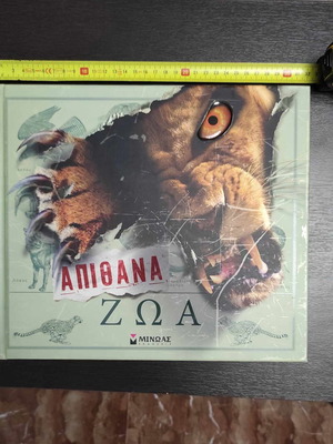 Children's 3D book with animals in excellent condition