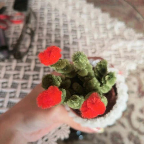 Handmade Blooming Cactus in White Pot made of Pipe Cleaner