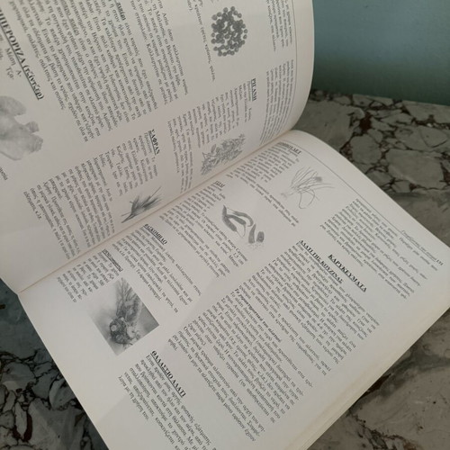 Cooking Expertise by Simos Dimitriadis used, Palmié Academy edition