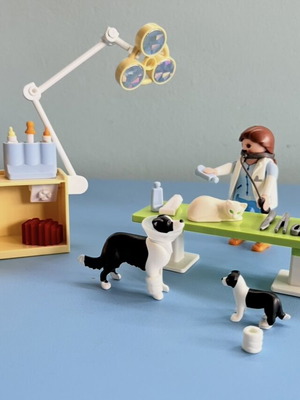 Playmobil Veterinarian Set like new