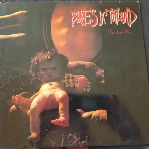 Babes in Toyland Fontanelle 1992 LP, punk