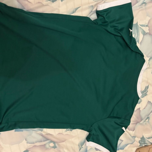 Palmeiras Jersey 2025-2026 Season New, Size XL