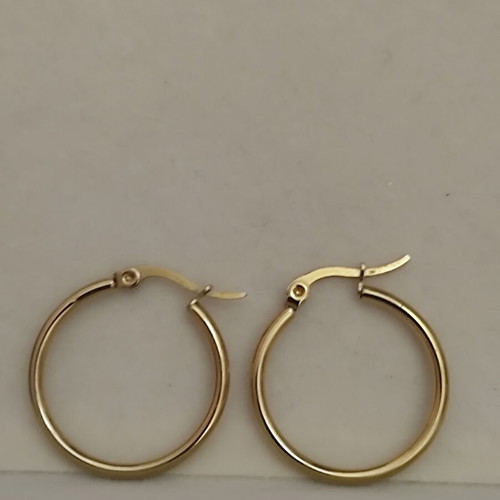 Gold stainless steel hoop earrings, Anna fine jewellery