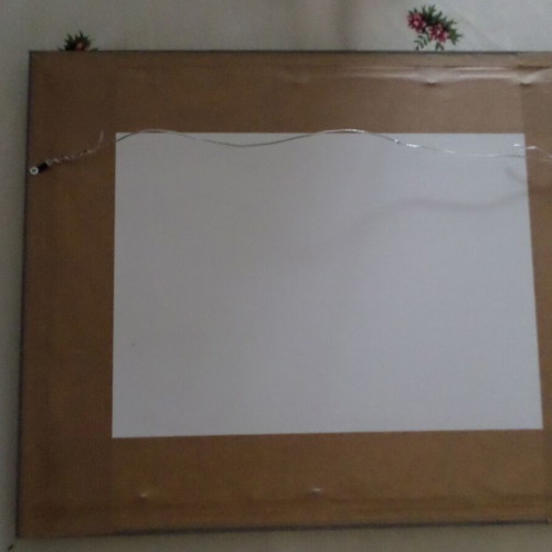 Egyptian papyrus new with frame