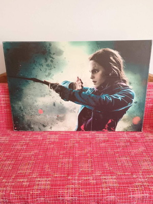 Hermione Granger Poster Like New from Harry Potter