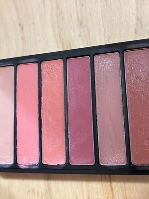 L’Oréal lip palette used