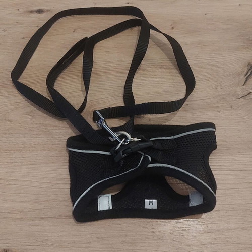 Black leash and harness set for small pets, new