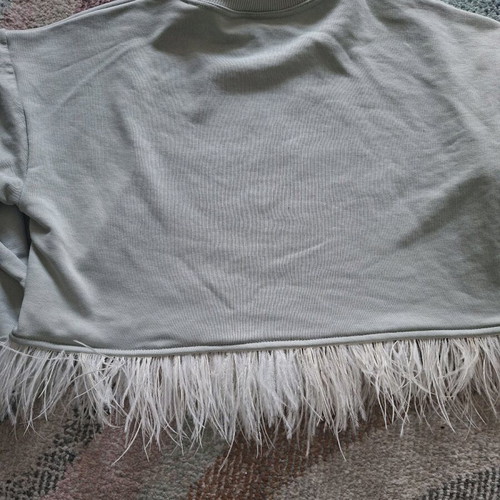 Crop sweatshirt grey with fries design and feathers new