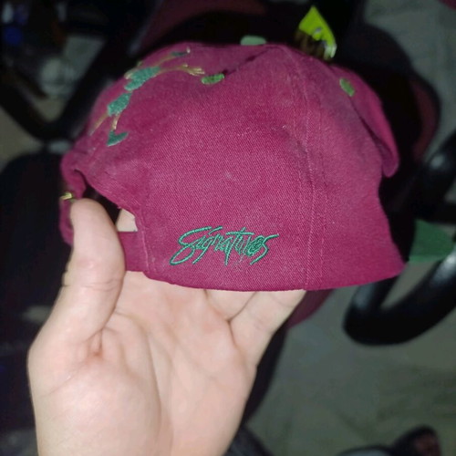 Street Noise vintage snapback hat new, red and green
