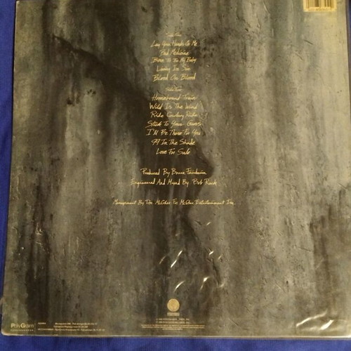 Bon Jovi New Jersey LP vinyl used, rock