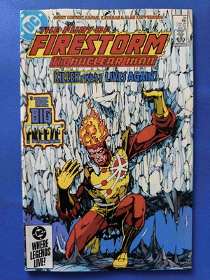 Fury of Firestorm 34 used comic in English