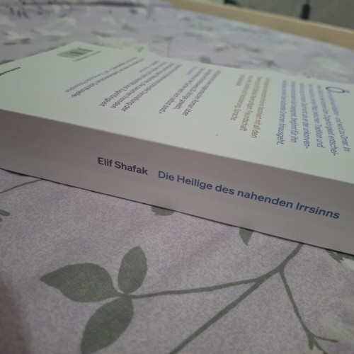 Elif Shafak Die Heilige des nahenden Irrsinns German novel