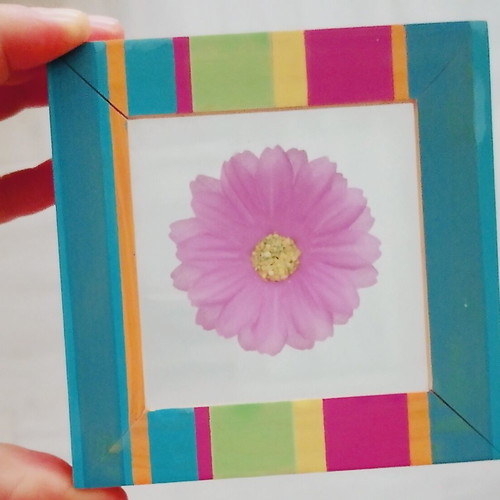 Decorative frame with encased flower, new