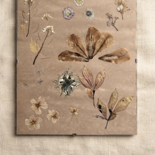 Hand-Pressed Dried Flower Art, botanical wall decor 20x25cm