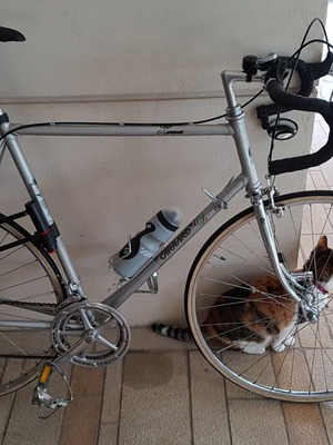 Carraro road bike used, silver, 27 inch, multispeed