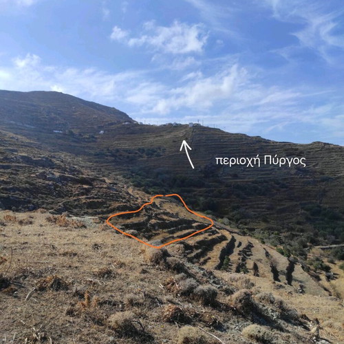 Land 6,500 sqm in Serifos with small-scale permit and sea view